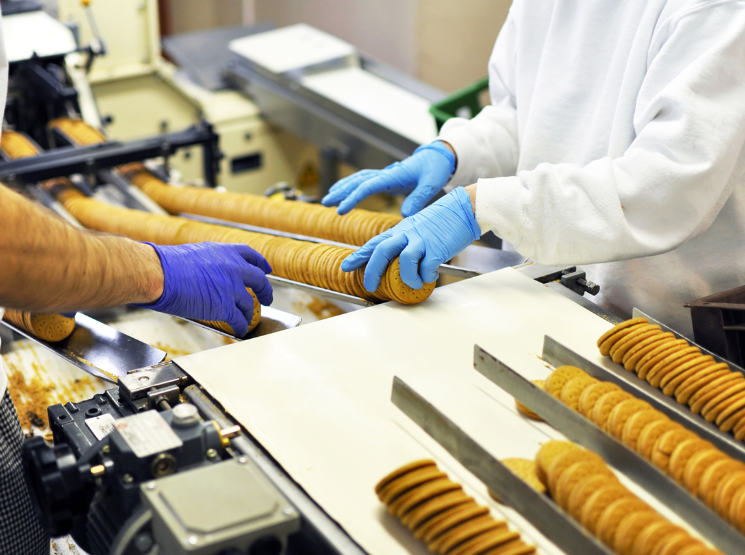 Mangueiras para a Indústria Alimentícia